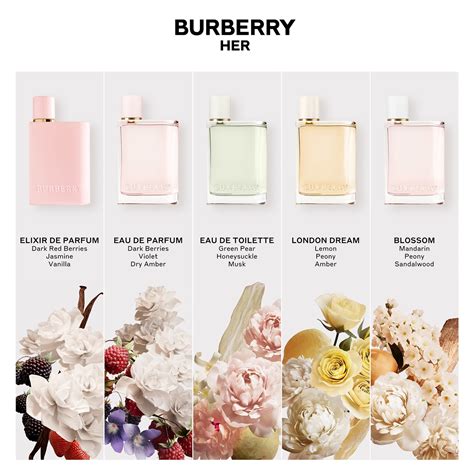 elixir de parfum burberry|burberry her elixir.